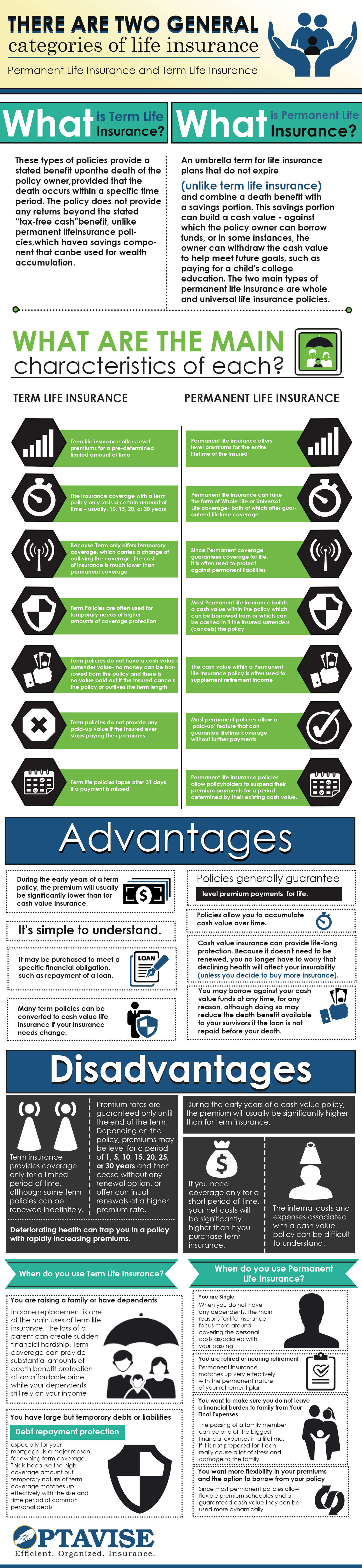 Term vs Perm Infographic